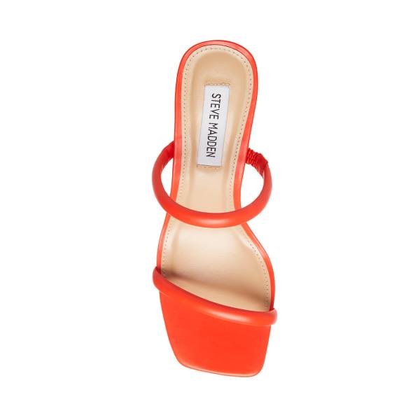 Szpilki Damskie Steve Madden Lilah Heel Czerwone | SM-639TF