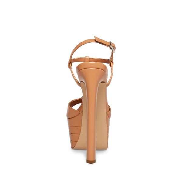 Szpilki Damskie Steve Madden Lola Blush Heel Różowe | SM-267ZV