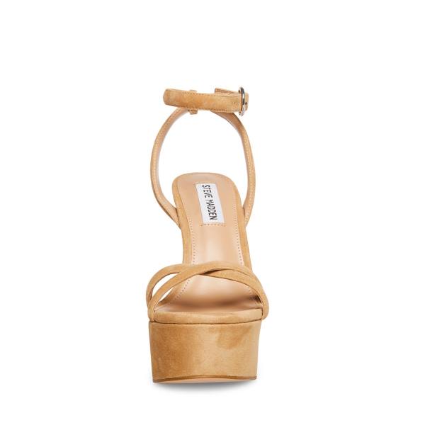 Szpilki Damskie Steve Madden Marciana Camel Zamszowe Heel Brązowe | SM-724BM