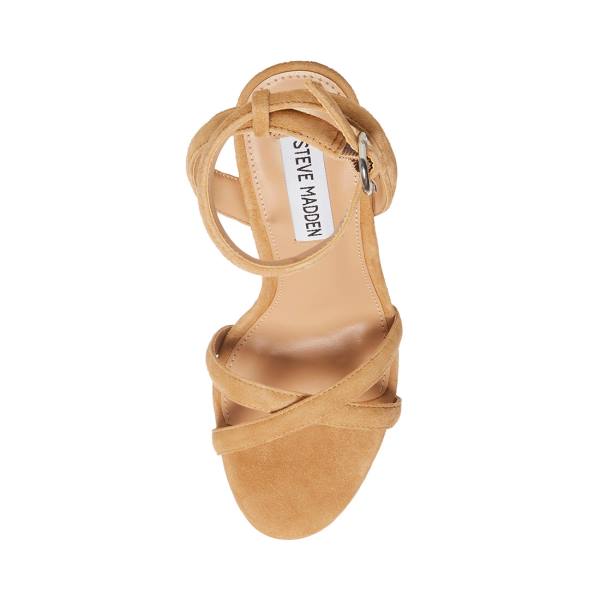 Szpilki Damskie Steve Madden Marciana Camel Zamszowe Heel Brązowe | SM-724BM