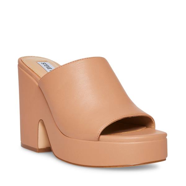 Szpilki Damskie Steve Madden Sally Tan Heel Ciemny Brązowe | SM-358GO