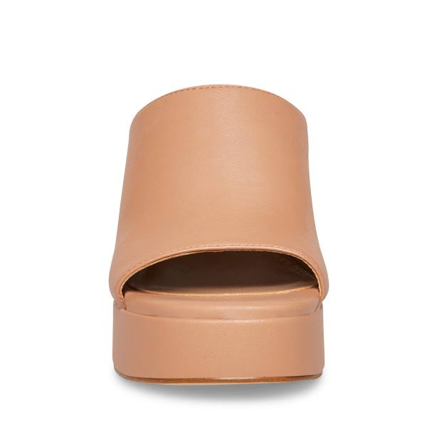 Szpilki Damskie Steve Madden Sally Tan Heel Ciemny Brązowe | SM-358GO