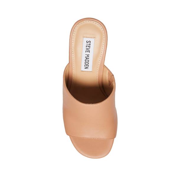 Szpilki Damskie Steve Madden Sally Tan Heel Ciemny Brązowe | SM-358GO