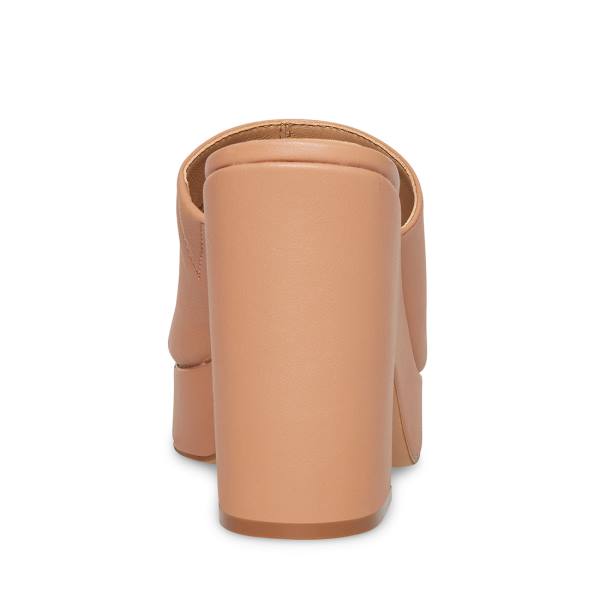 Szpilki Damskie Steve Madden Sally Tan Heel Ciemny Brązowe | SM-358GO