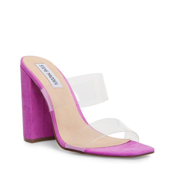 Szpilki Damskie Steve Madden Tegan Heel Fioletowe | SM-431NU
