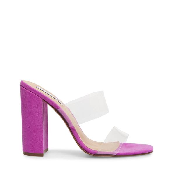 Szpilki Damskie Steve Madden Tegan Heel Fioletowe | SM-431NU