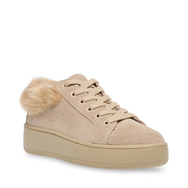 Trampki Damskie Steve Madden Brenner Tan Brązowe Kolorowe | SM-783US