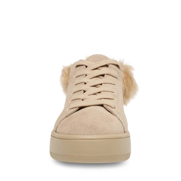 Trampki Damskie Steve Madden Brenner Tan Brązowe Kolorowe | SM-783US