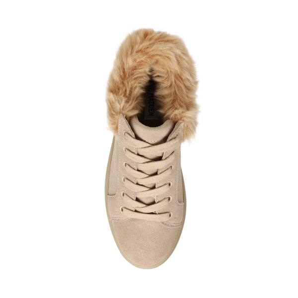 Trampki Damskie Steve Madden Brenner Tan Brązowe Kolorowe | SM-783US