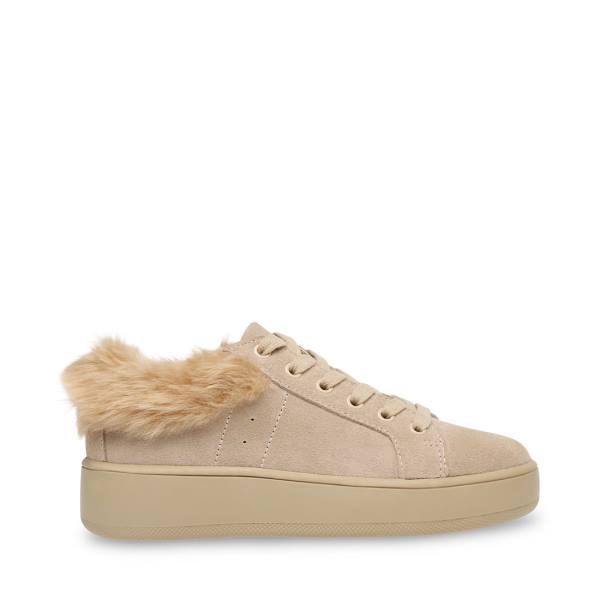 Trampki Damskie Steve Madden Brenner Tan Brązowe Kolorowe | SM-783US