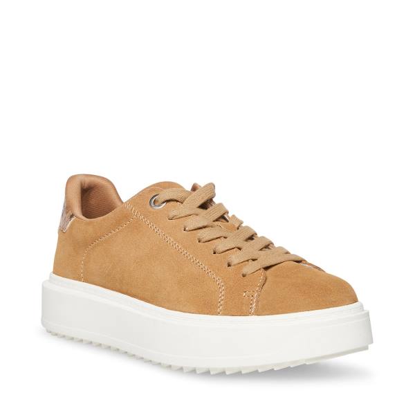Trampki Damskie Steve Madden Catcher Taupe Zamszowe Szare Brązowe | SM-593NA