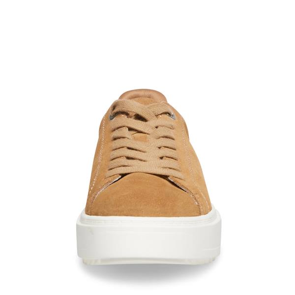Trampki Damskie Steve Madden Catcher Taupe Zamszowe Szare Brązowe | SM-593NA
