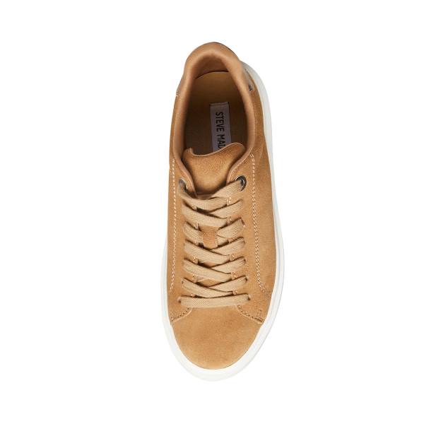 Trampki Damskie Steve Madden Catcher Taupe Zamszowe Szare Brązowe | SM-593NA