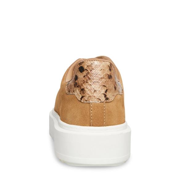 Trampki Damskie Steve Madden Catcher Taupe Zamszowe Szare Brązowe | SM-593NA