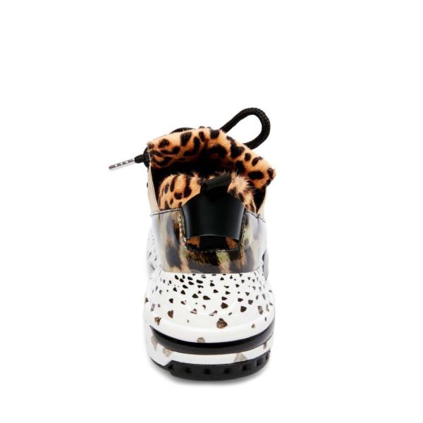 Trampki Damskie Steve Madden Cliff Panterka | SM-045JH
