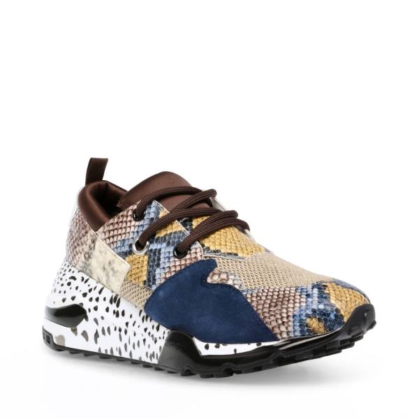 Trampki Damskie Steve Madden Cliff Snake Kolorowe Wąż | SM-172DY