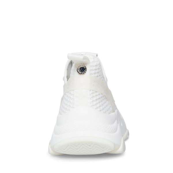 Trampki Damskie Steve Madden Milo Białe | SM-794UO