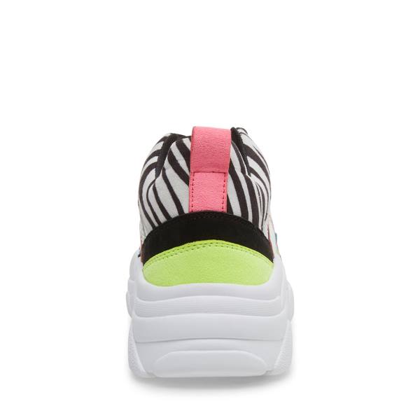 Trampki Dziecięce Steve Madden Jantonia Zebra Kolorowe | SM-471OY