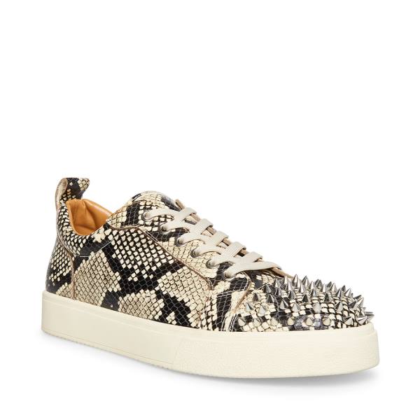 Trampki Męskie Steve Madden Portall Natural Snake Beżowe Wąż | SM-076NU