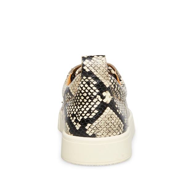 Trampki Męskie Steve Madden Portall Natural Snake Beżowe Wąż | SM-076NU