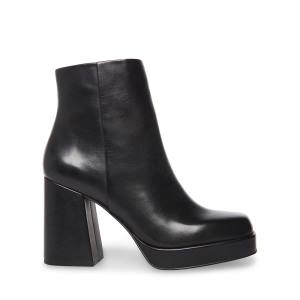 Botki Damskie Steve Madden Edsel Skórzane Czarne | SM-284MK