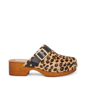 Szpilki Damskie Steve Madden Dana-p Leopard Heel Panterka | SM-297EZ