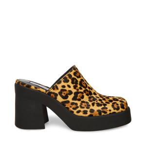 Szpilki Damskie Steve Madden Kam Leopard Heel Panterka | SM-250TE