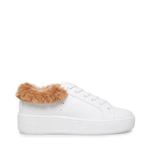 Trampki Damskie Steve Madden Brenner Białe Kolorowe | SM-760HO