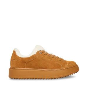 Trampki Damskie Steve Madden Catcher-f Chestnut Zamszowe Brązowe | SM-537MF
