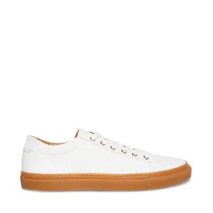 Trampki Męskie Steve Madden Bolo-g Białe Kolorowe | SM-263OJ