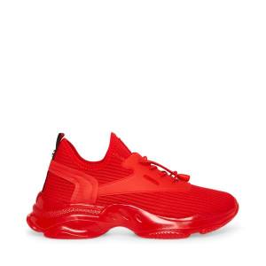 Trampki Męskie Steve Madden Mylo Czerwone | SM-254QM